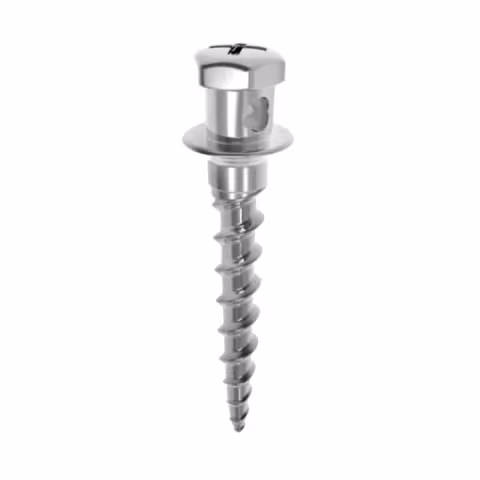 Microimplante GS II Cylinder Type para Uso Palatal