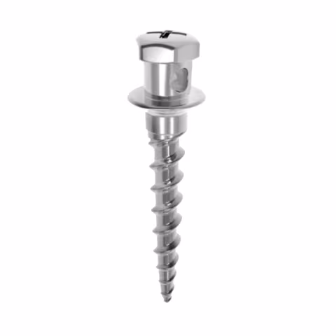 Microimplante GS II Cylinder Type